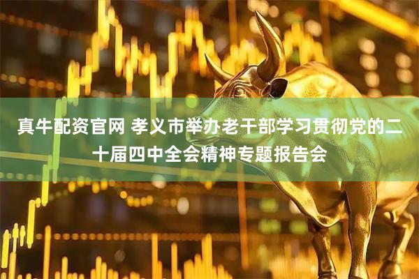 真牛配资官网 孝义市举办老干部学习贯彻党的二十届四中全会精神专题报告会