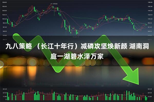 九八策略 （长江十年行）减磷攻坚焕新颜 湖南洞庭一湖碧水泽万家
